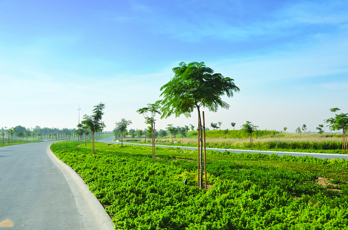 Dubai Hills Estate – Entry Experience